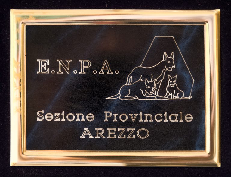 Centro del Hombre - Premio ENPA 2000