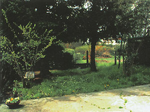 Centro del Hombre , Sede de Lucca
