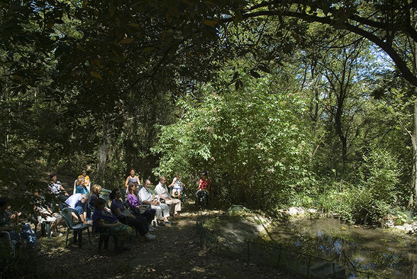 Regeneración interior en el bosque de Sargiano